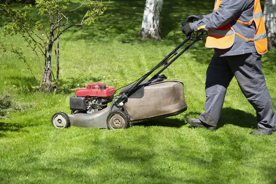 Commercial Mowing Services