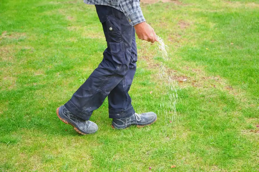 Lawn Care Service