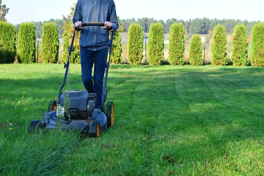 Lawn Service