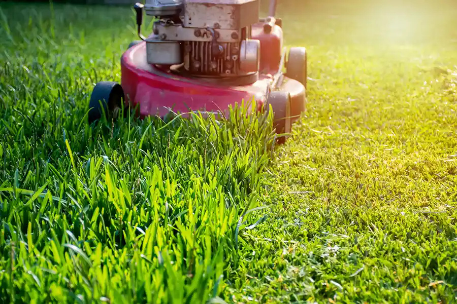 Residential Mowing Services