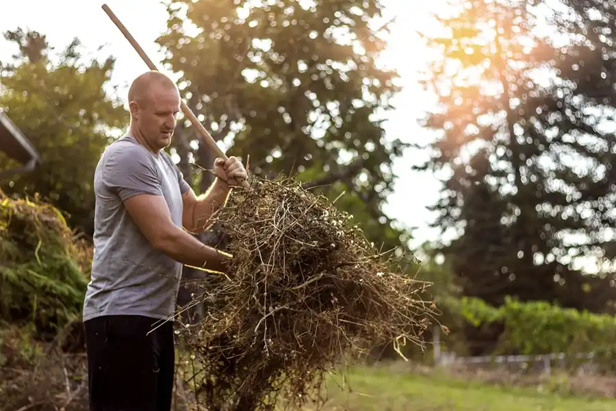 Yard Cleanup Service