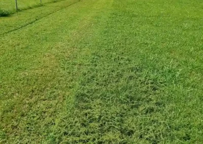 Affordable Lawn Care Company