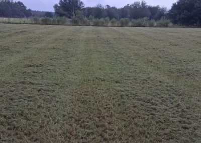 Lawn Mowing Service Company