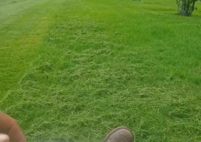 Local Lawn Care Company