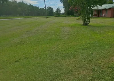 Professional Lawn Care Company
