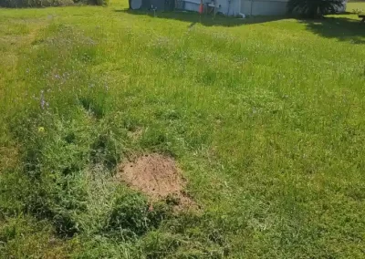 Quality Lawn Care Company