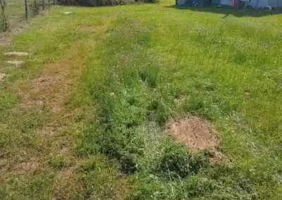 Skilled Lawn Care Company