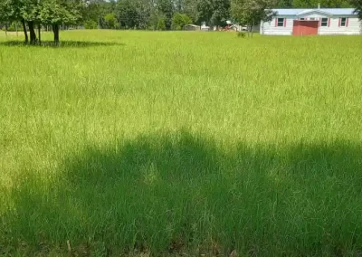 Trusted Lawn Care Company