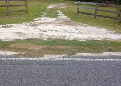 Yard Clean-Up Company